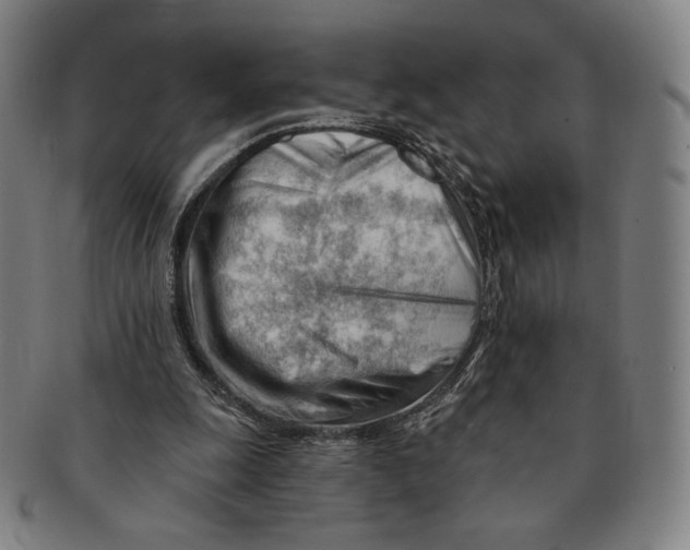 X0000090970247200708301233