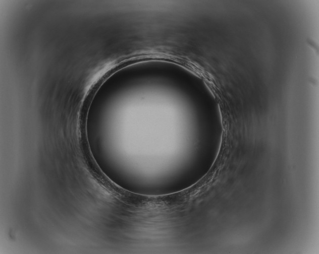 X0000090970248200708301233