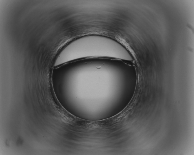 X0000090970249200708301233