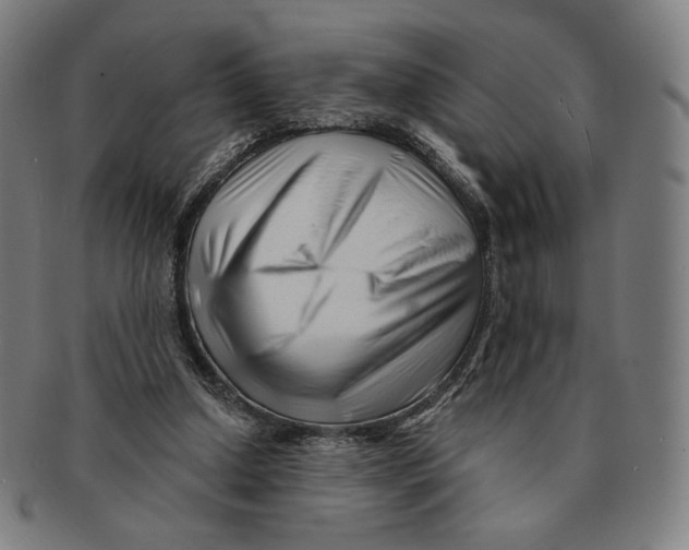 X0000090970250200708301233