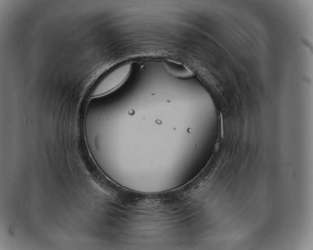 X0000090970252200708301233