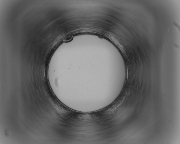 X0000090970253200708301233