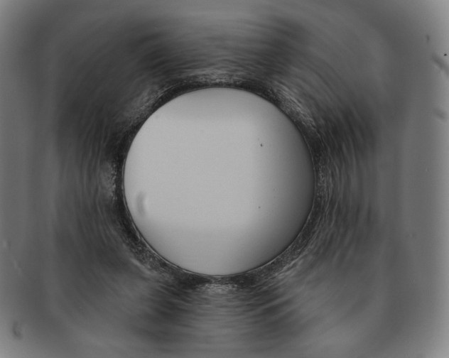 X0000090970255200708301233