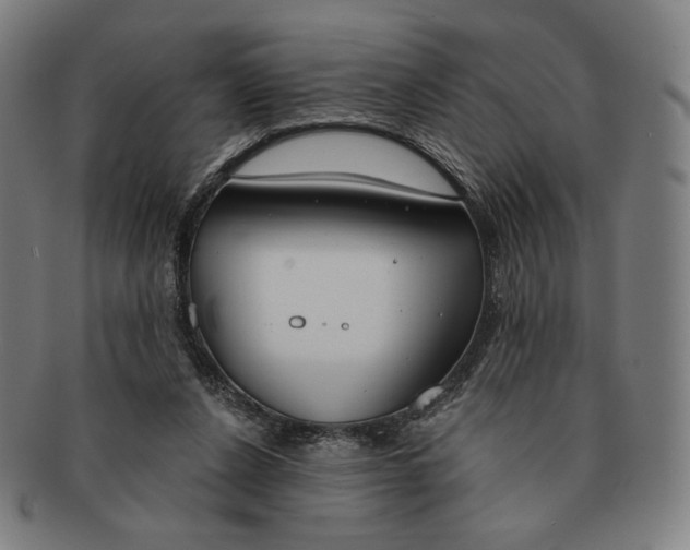 X0000090970256200708301233