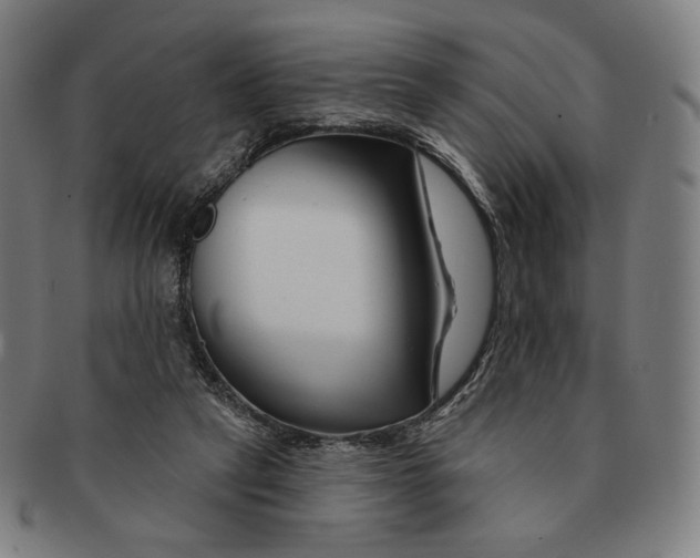X0000090970257200708301233