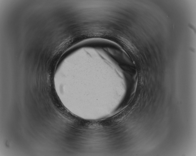 X0000090970258200708301233