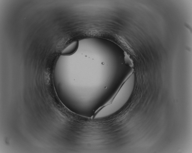 X0000090970259200708301233