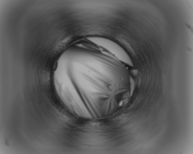 X0000090970260200708301233