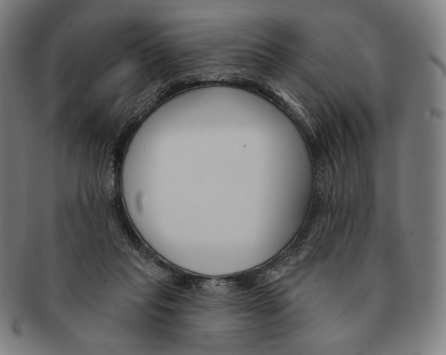 X0000090970261200708301233