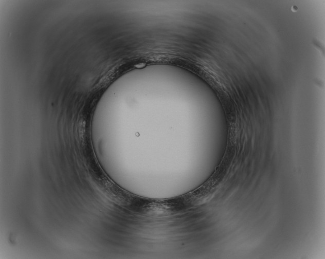 X0000090970263200708301233