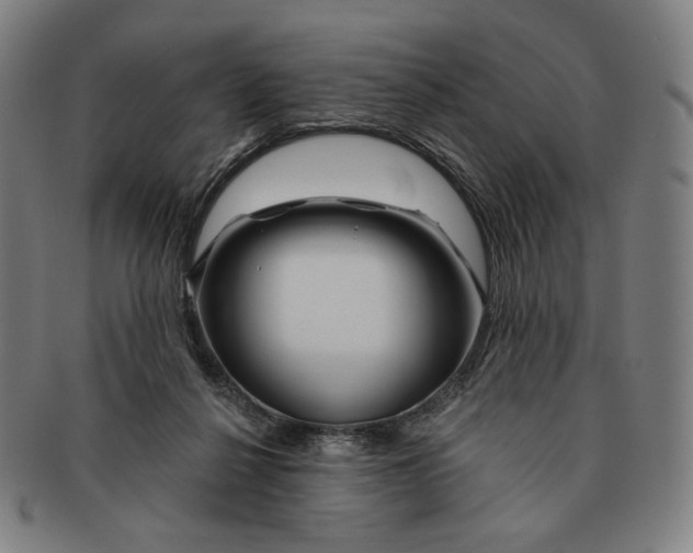 X0000090970264200708301233