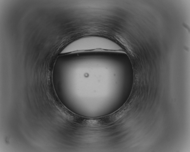 X0000090970265200708301233