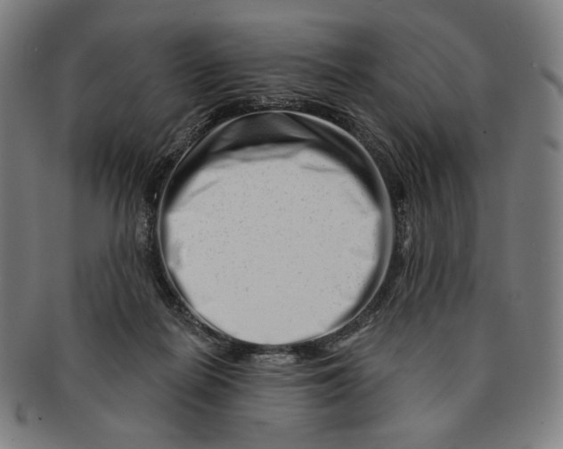 X0000090970266200708301233