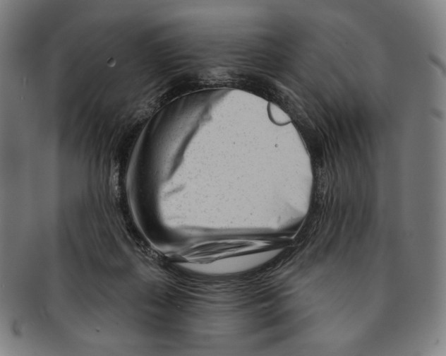 X0000090970267200708301233