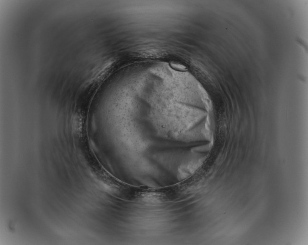 X0000090970268200708301233