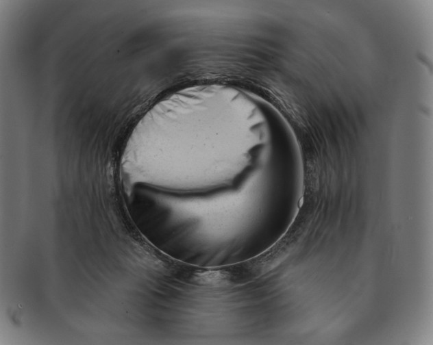 X0000090970269200708301233