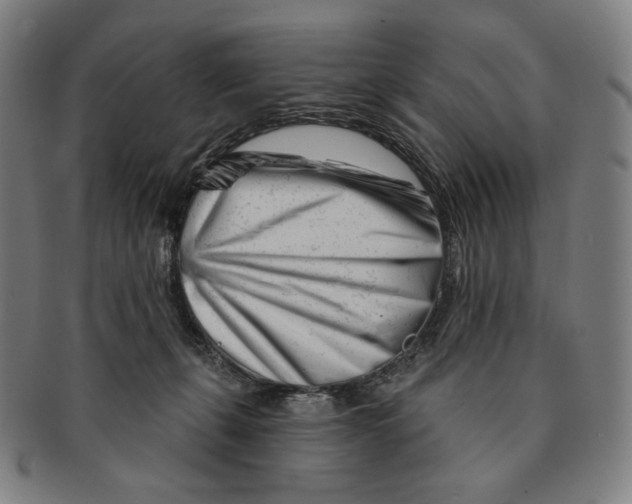 X0000090970271200708301233