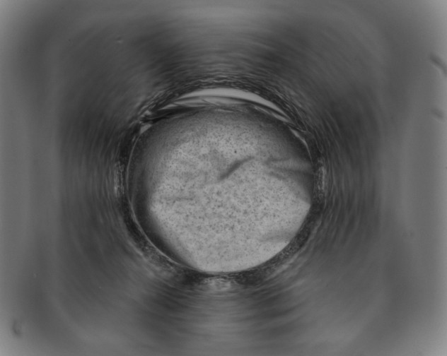 X0000090970272200708301233