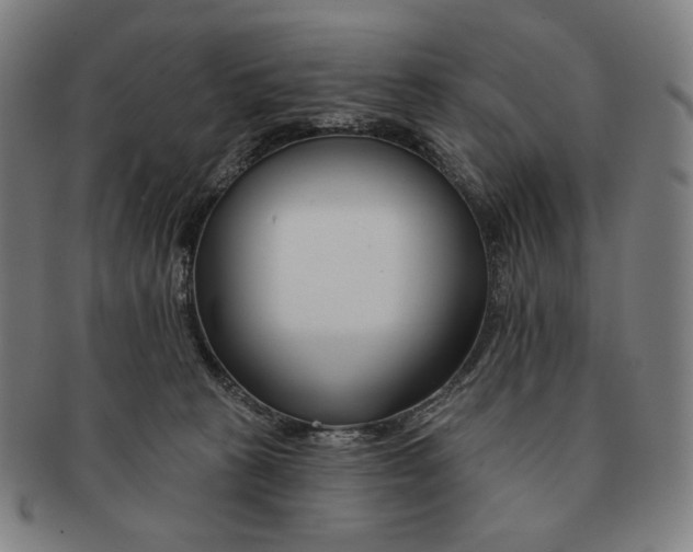 X0000090970273200708301233