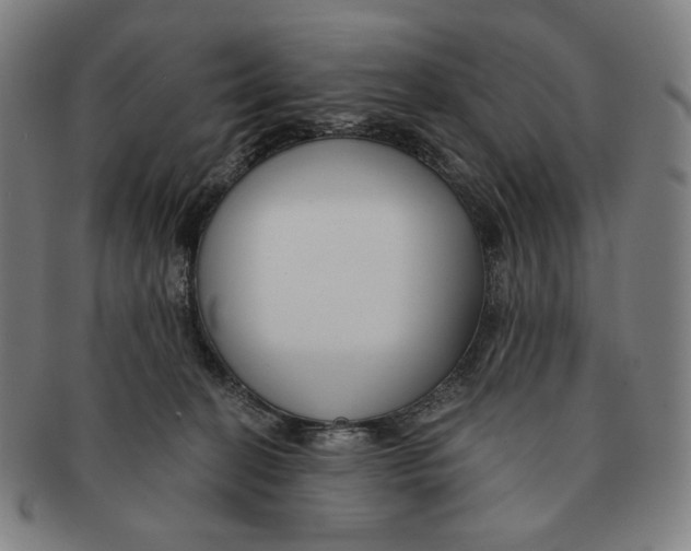 X0000090970274200708301233