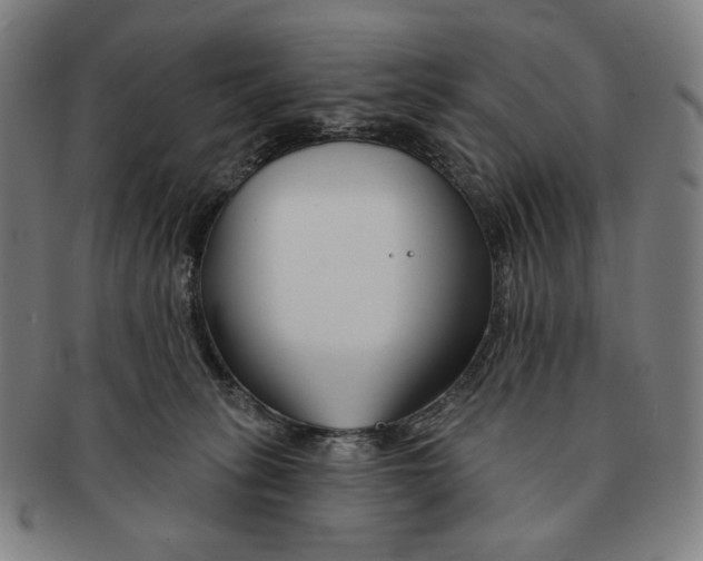 X0000090970275200708301233