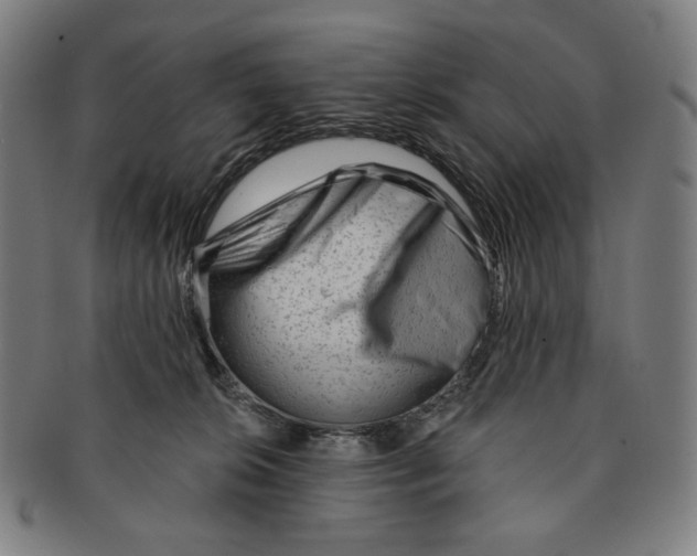 X0000090970276200708301233