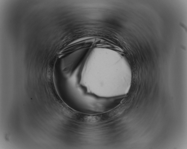 X0000090970277200708301233
