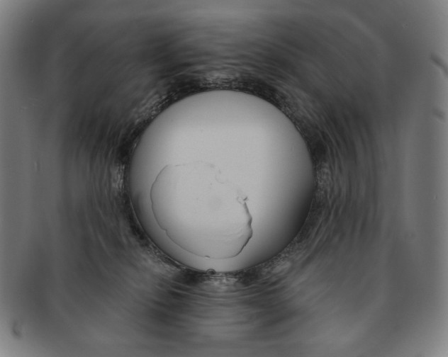 X0000090970278200708301233