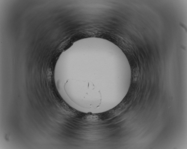 X0000090970279200708301233