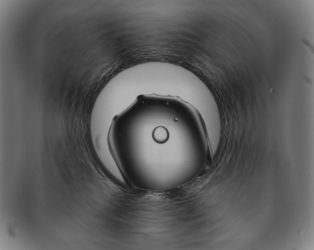 X0000090970280200708301233