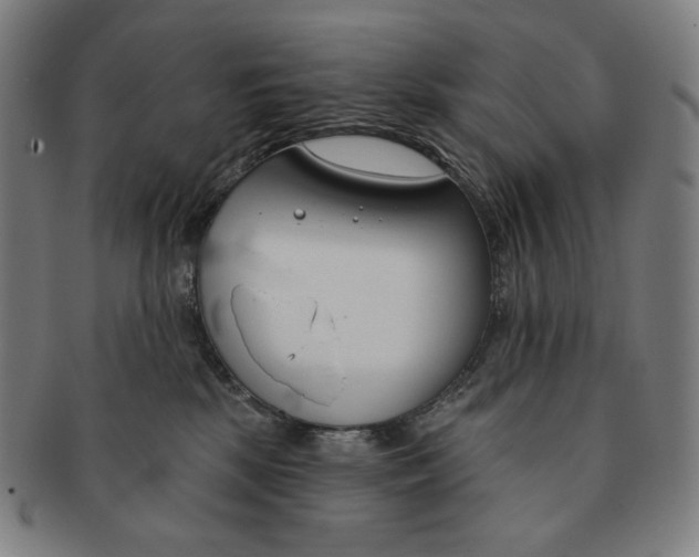 X0000090970281200708301233