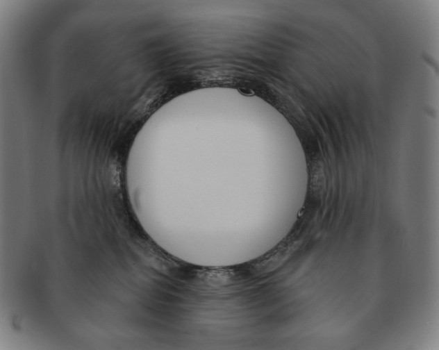 X0000090970282200708301233