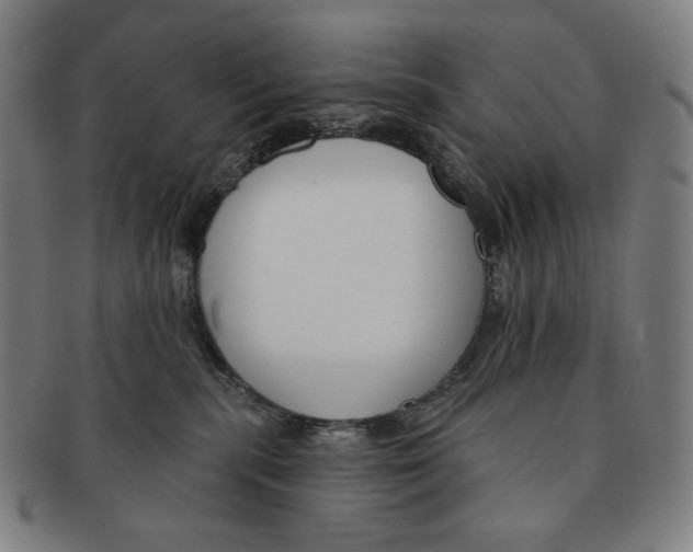 X0000090970283200708301233