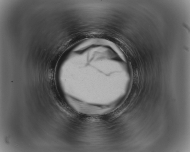 X0000090970284200708301233