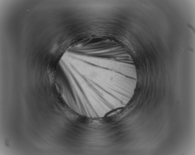 X0000090970285200708301233