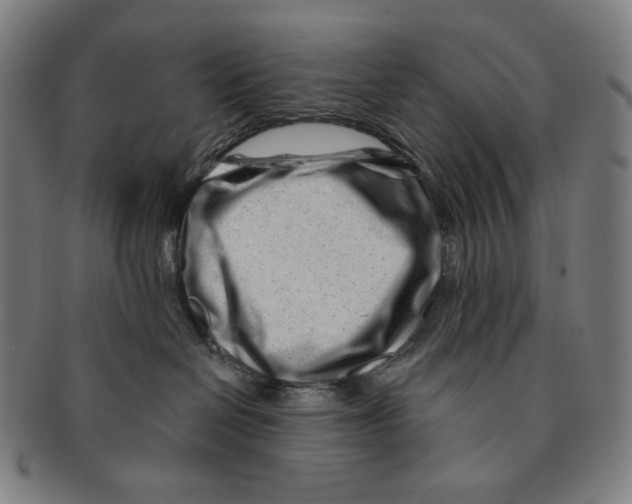 X0000090970286200708301233