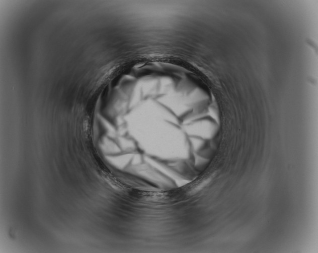 X0000090970288200708301233