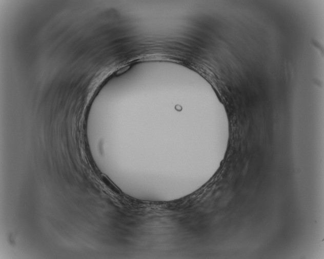 X0000090970289200708301232