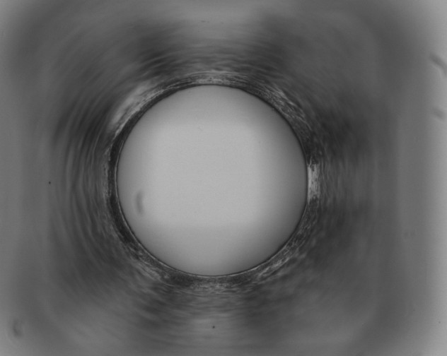 X0000090970291200708301232