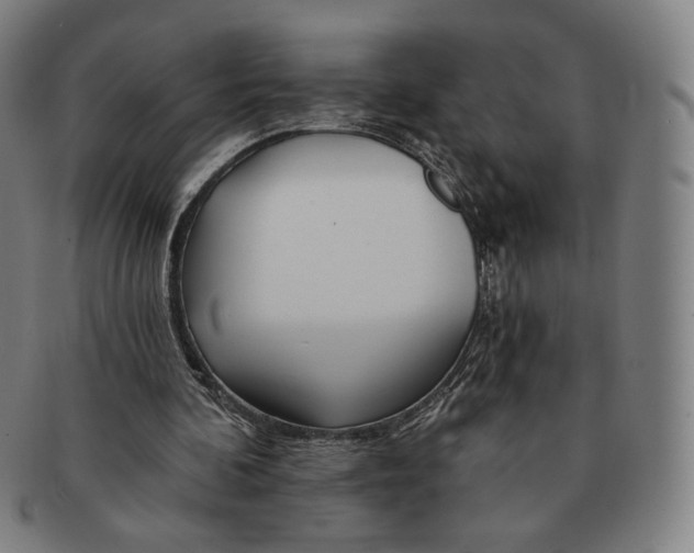 X0000090970292200708301232