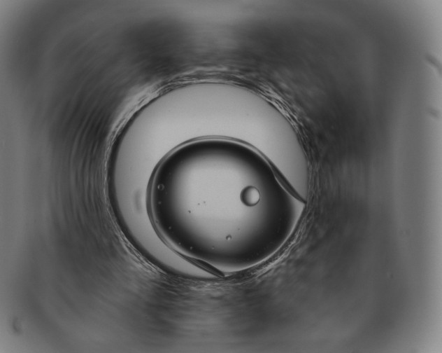 X0000090970293200708301232