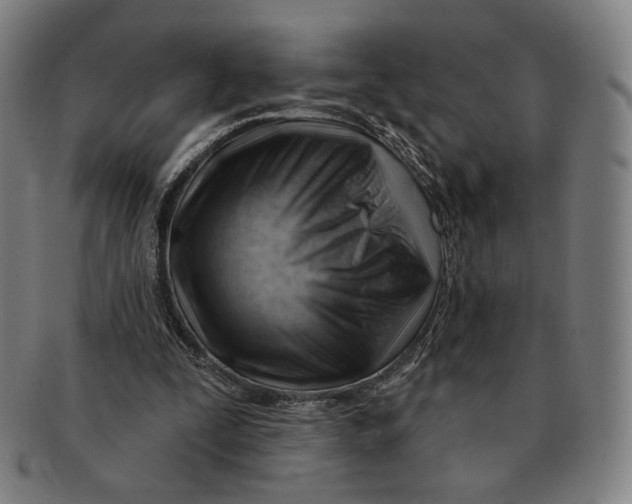 X0000090970295200708301232