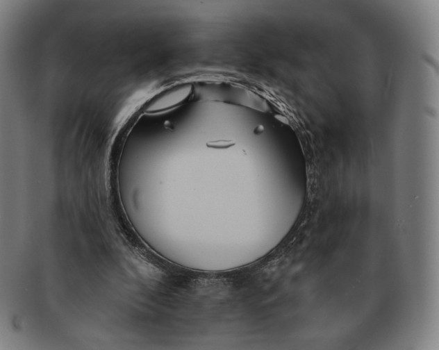 X0000090970296200708301232