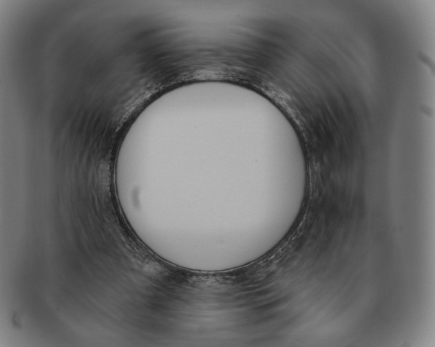 X0000090970297200708301232