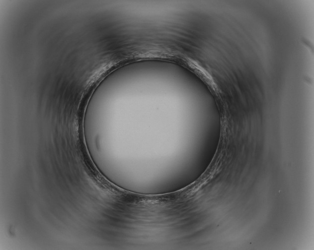 X0000090970298200708301232