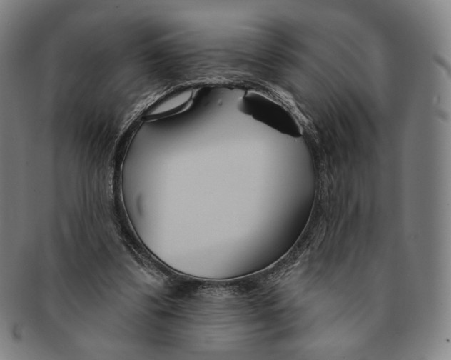 X0000090970299200708301232