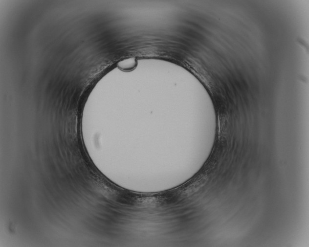 X0000090970301200708301232