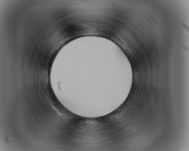 X0000090970302200708301232