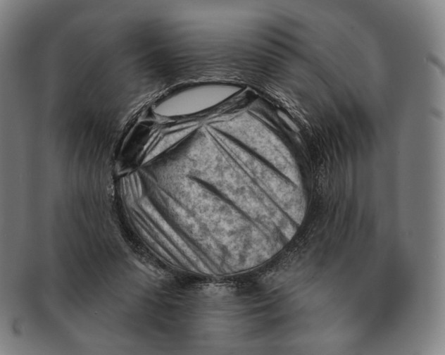 X0000090970303200708301232