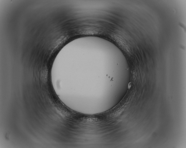 X0000090970304200708301232